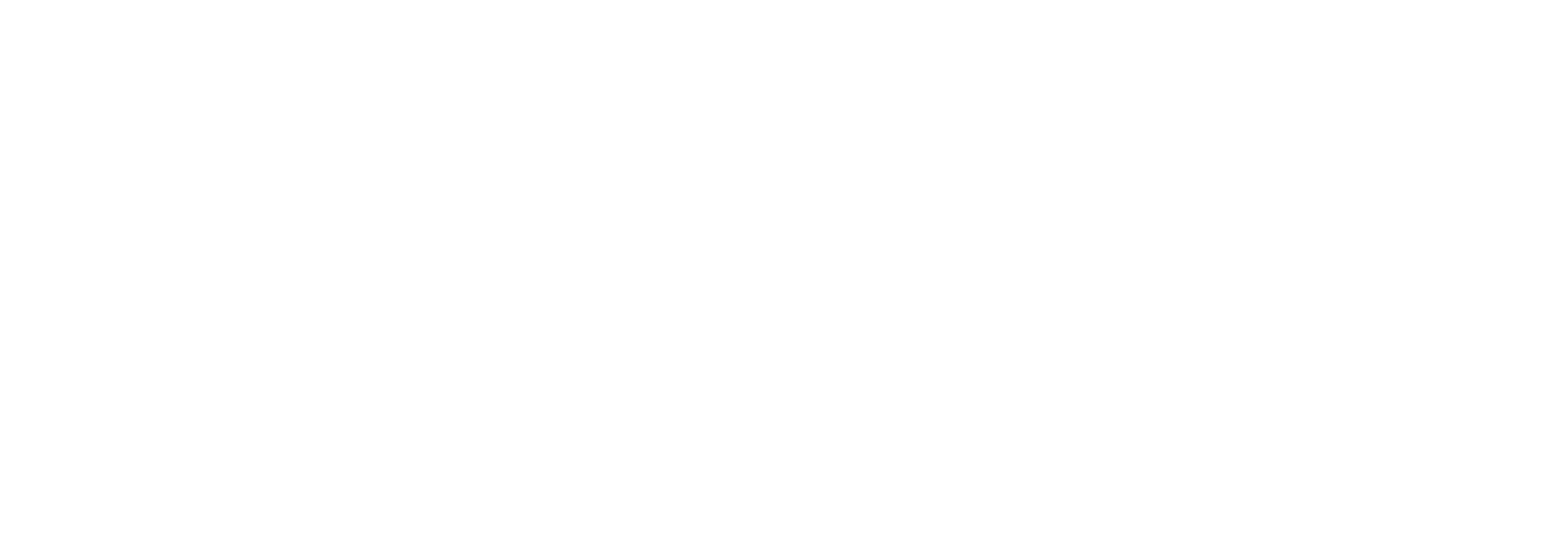 Terra91 Logo